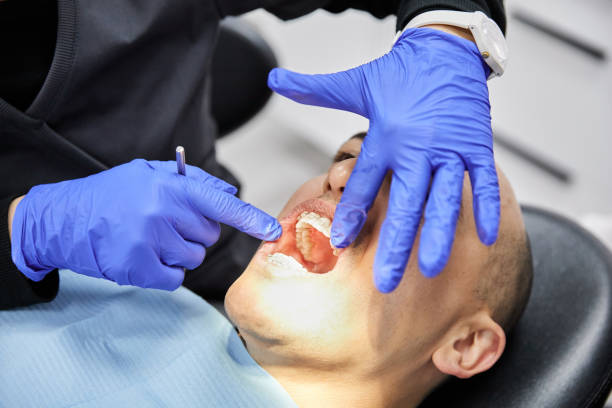 Best Affordable Emergency Dental Care  in Boulevard Gardens, FL